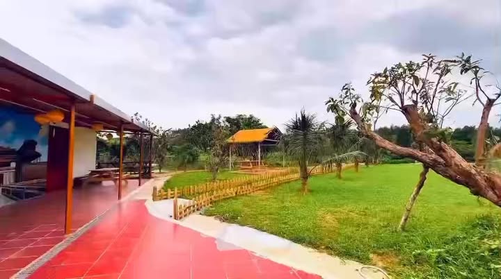 Bán Đất Nền Chính Chủ 120m² Đường Ngô Đức Kê, Thanh Khê - Giá 1.6 Tỷ