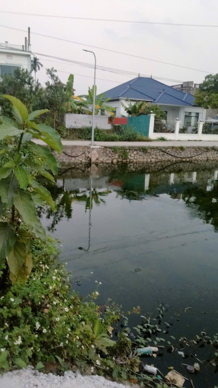 Bán Đất Phượng Dực 103m² View Hồ - Sổ Đỏ Sẵn Sàng Giao Dịch