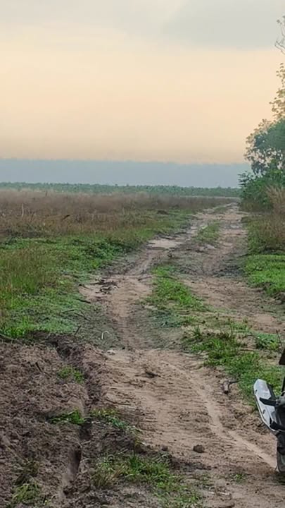 Đất vườn Suối Dây, Tân Châu 5.1ha - Tiềm năng tăng giá vượt trội!