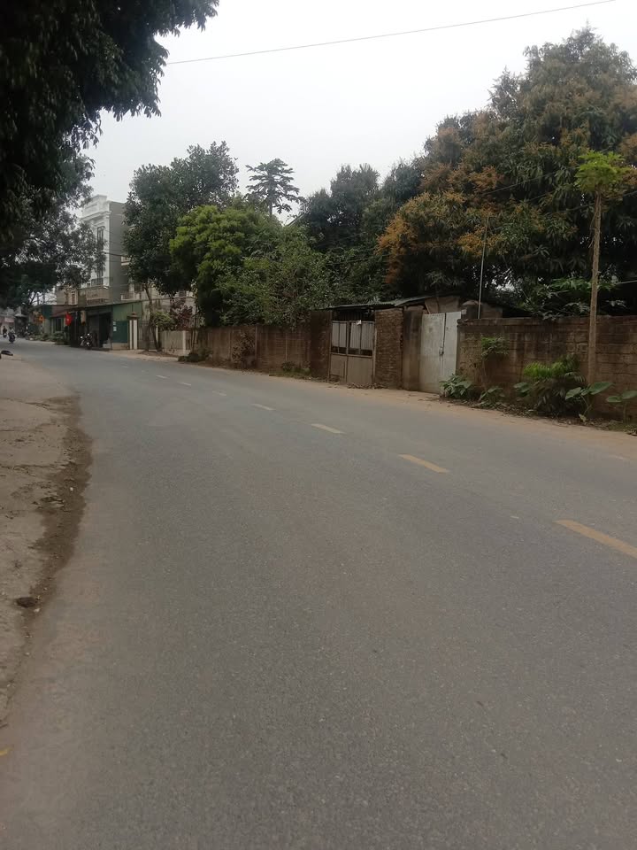 Đất Vàng Đồng Thịnh 600m² - Sổ Đỏ Sẵn Sàng, Giá Hời 2.4 Tỷ