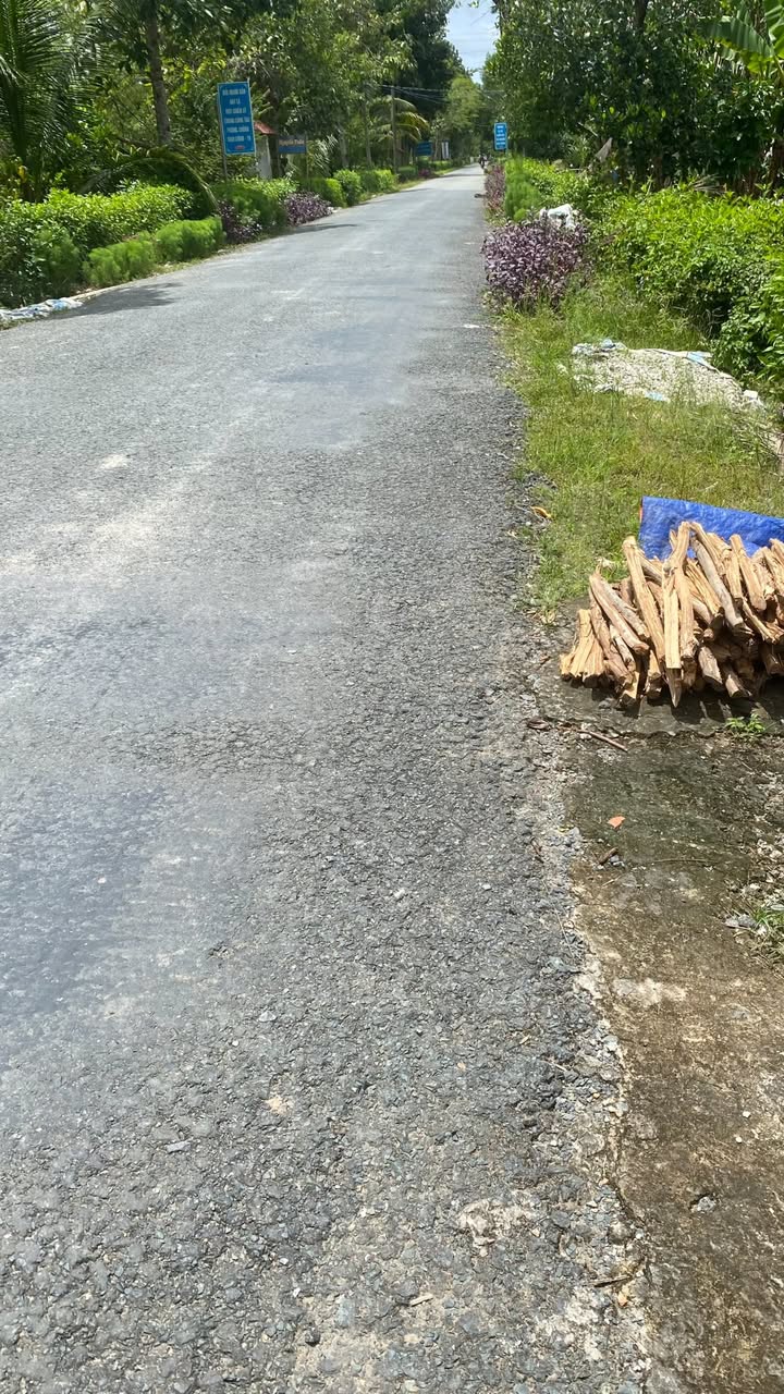 Bán Đất Vườn 6500m² Phụng Hiệp, Hậu Giang - Giá Đầu Tư 1.2 Tỷ