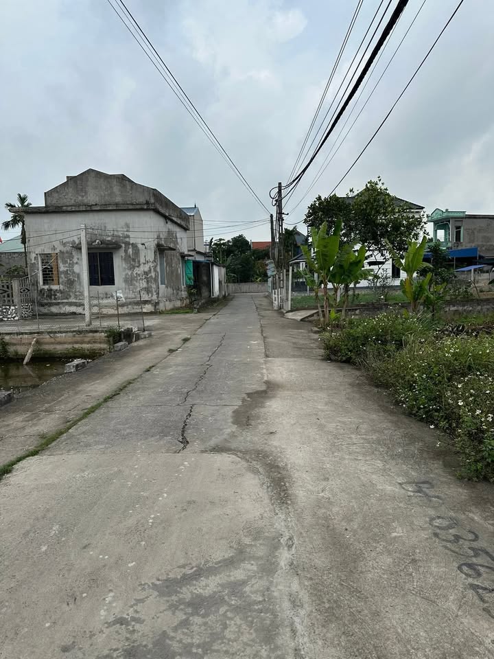 Đất Nền Mặt Đường Làng An Duyên Hải Hậu - 312m² - Giá Đầu Tư 10 Tỷ