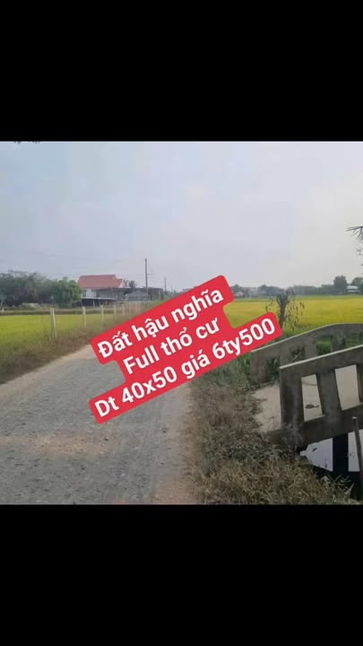 Đất Nền Đức Hòa 2000m² Full Thổ Cư - Sổ Đỏ Sẵn Sàng Đầu Tư