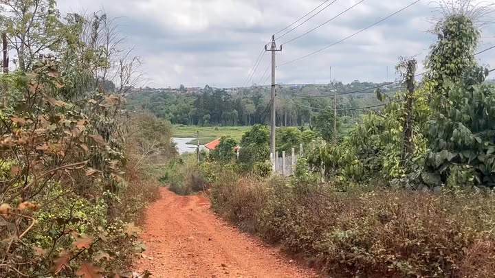 Đất nền Ea Ral, Ea H'leo 192m² - Tiềm năng tăng giá vượt trội!