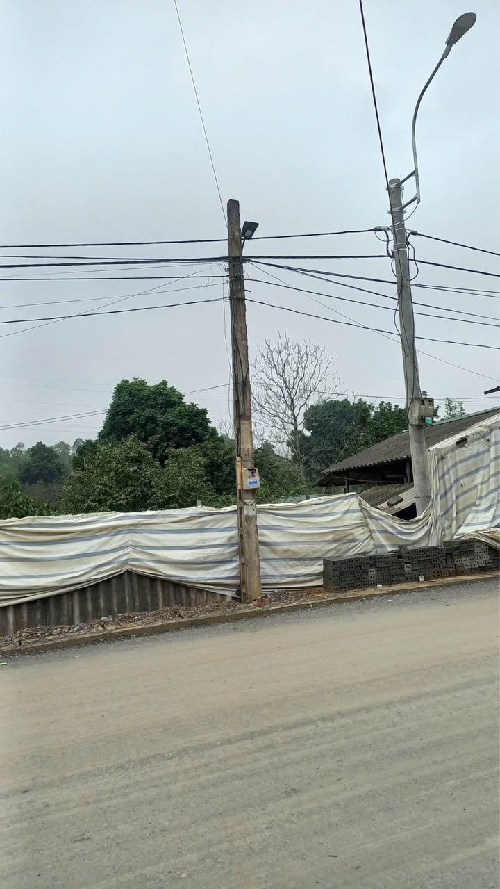 Đất nền Thành phố Việt Trì 166m² - Đường to ô tô, tiềm năng sinh lời!