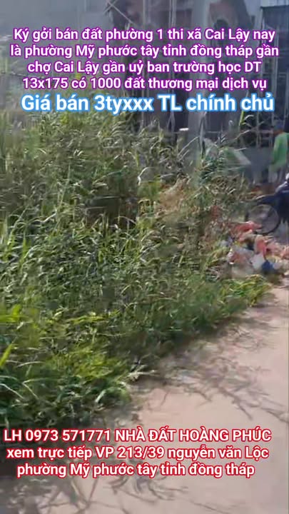 Đất Nền Cai Lậy 1000m² giá 3 tỷ - Sổ Đỏ Chính Chủ