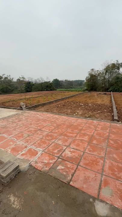 Đất Nền Ngọc Châu 108m² Tân Yên - Mặt Trục Chính, Tiềm Năng Tăng Giá!