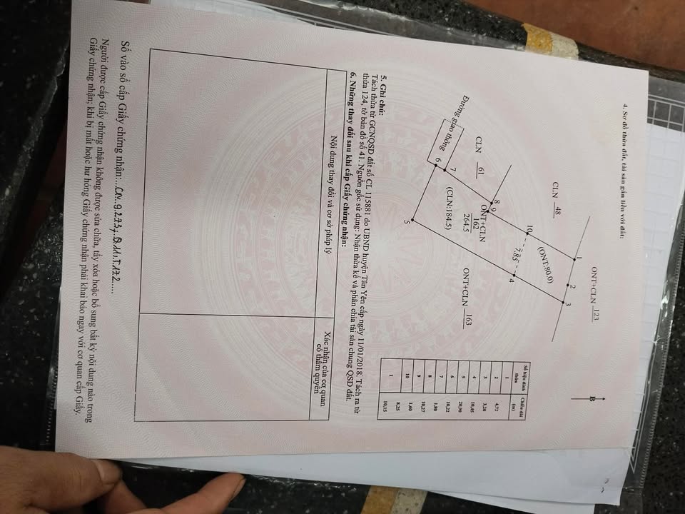 Bán Đất Nền 264m² Tân Yên, Bắc Giang - Sổ Đỏ Chính Chủ, Ô Tô Tới Tận Nơi