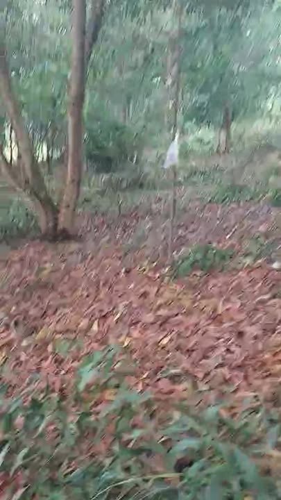 Bán Đất Phú Sơn, Lâm Hà 360m² - Sổ Đỏ Sẵn Sàng, Giá 460 Triệu