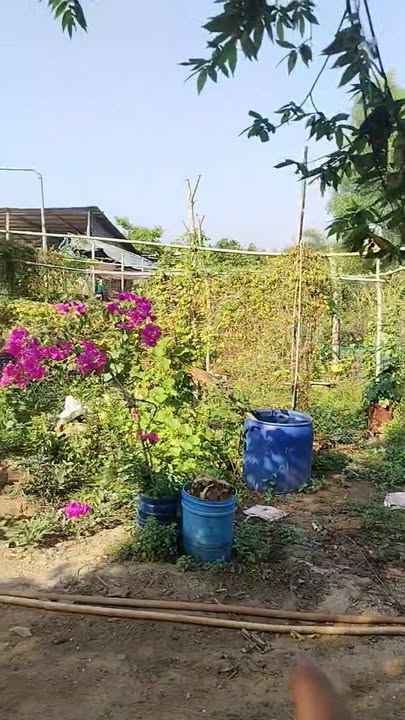 Đất Vườn Tam An Long Thành 378m² - Sổ Hồng Riêng, Giá Đầu Tư 3 Tỷ