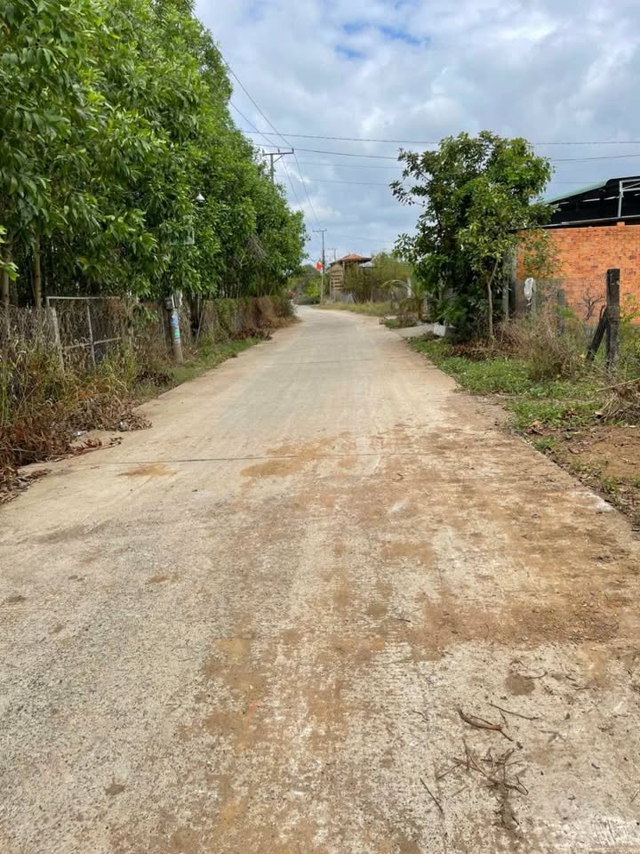 Đất nền Xã Phước Tân 330m² - Sổ đỏ chính chủ, tiềm năng tăng giá!