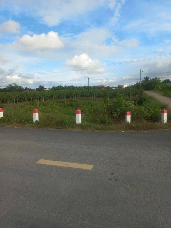 Đất Vườn 908m² MT Kênh Nổi, Tây Ninh - Giá Đầu Tư 1.5 Tỷ