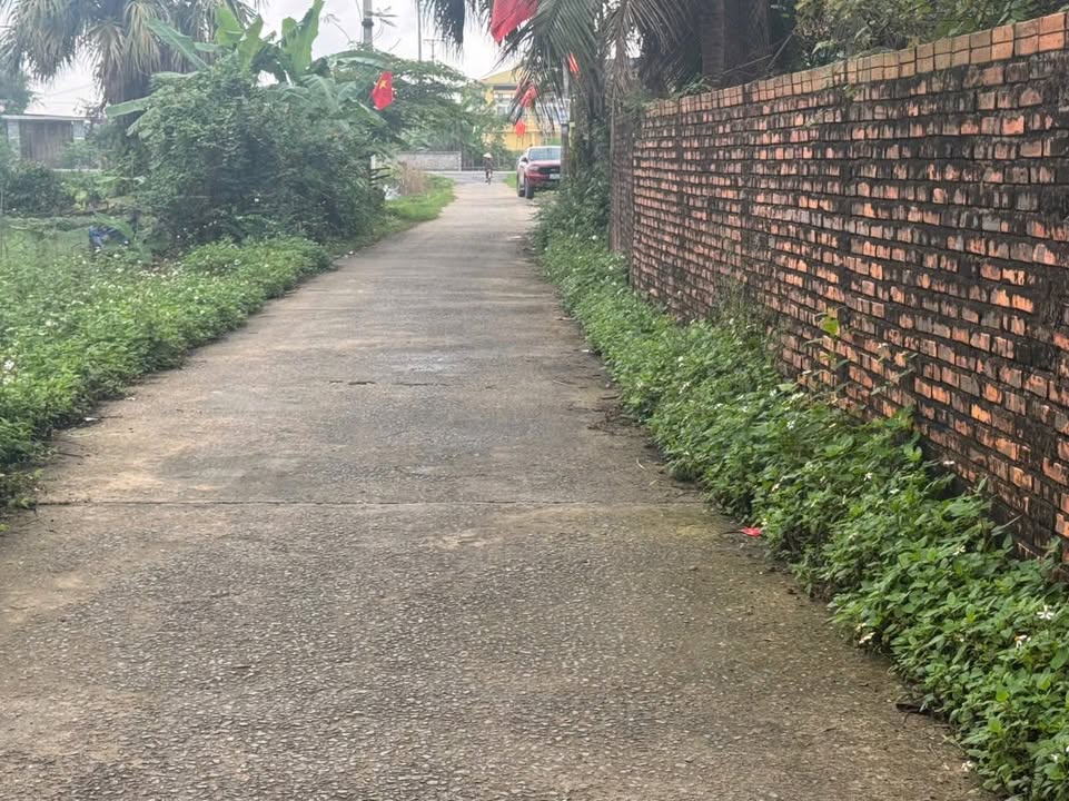 Bán đất Yên cầu Bình Minh, Nghi Sơn 210m² - Sổ đỏ sẵn sàng