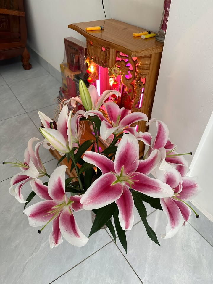 Nhà phố Tây Thạnh, Tân Phú 100m² - Mặt tiền kinh doanh đắc địa!