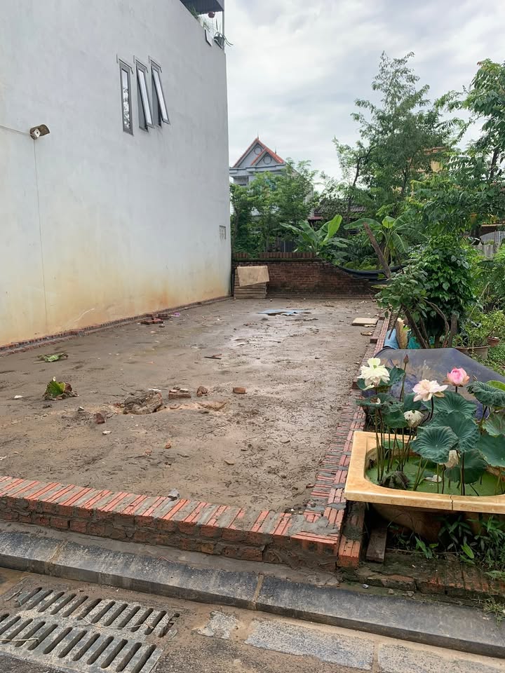 Bán đất 80m² Thư Lâm, Thường Tín - Sổ hồng, nở hậu, giá 4x tỷ