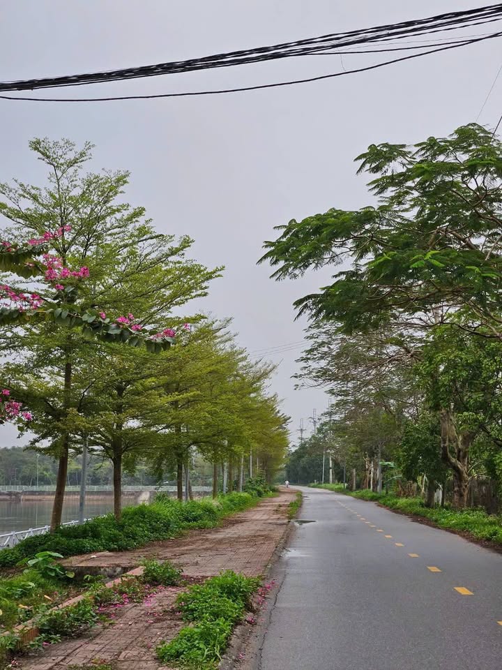 Đất vườn Thanh Liệt 622m² 3.11 tỷ - Sổ đỏ chính chủ