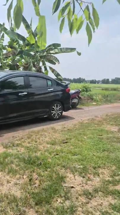 Bán Gấp Nhà Vườn Củ Chi 1000m² - Sẵn Vườn Cây, Ao Nuôi, Chòi Nghỉ Dưỡng