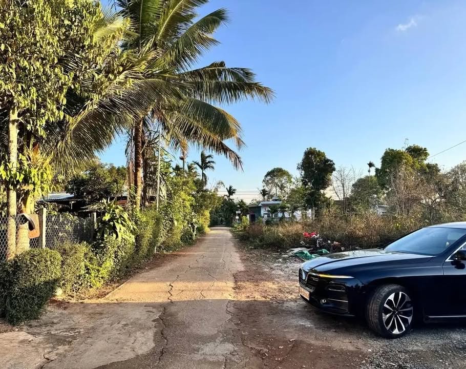 Đất nền Tân Thành, Buôn Ma Thuột 100m² - Tiềm năng tăng giá!