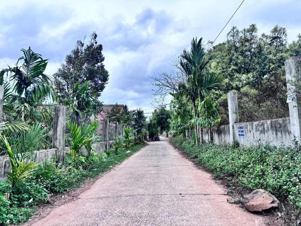 Đất Thổ Cư 60m² Phường Tân Lập, BMT - Giá 980 Triệu