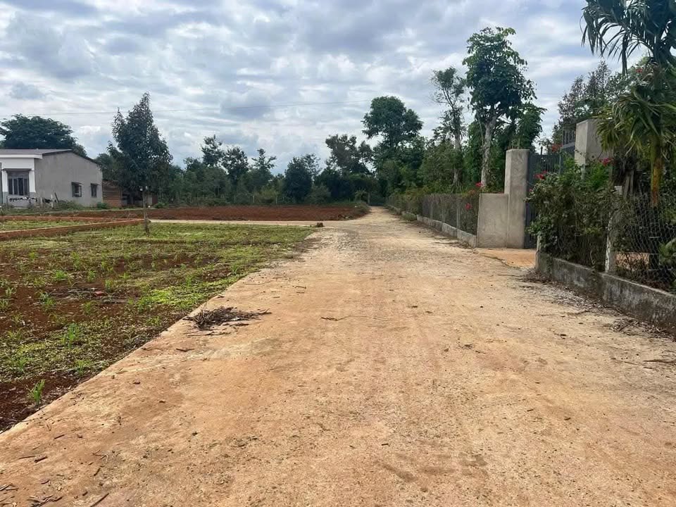 Đất nền Eakmat Buôn Ma Thuột - Lô góc 110m² giá từ 600 triệu