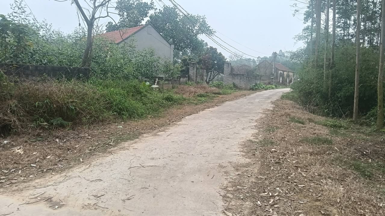 Đất nền Đồng Tâm, Yên Thế, Bắc Giang 2000m² chỉ từ 2 tỷ - Đường to ô tô!