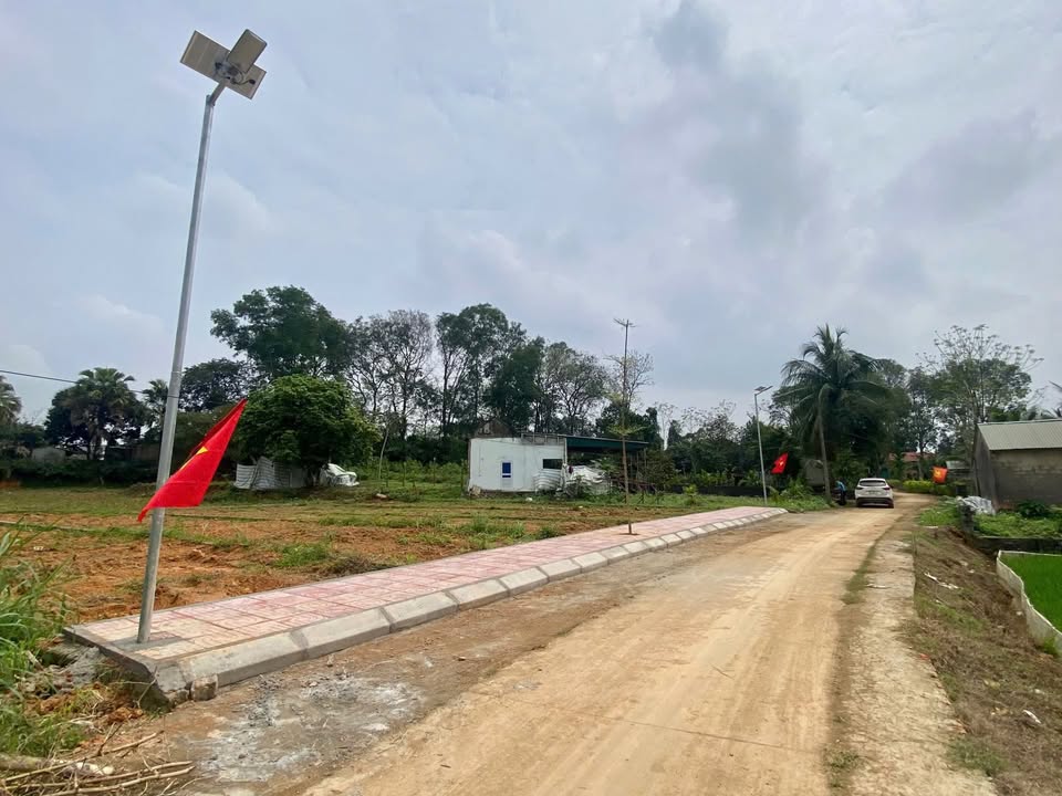 Bán Đất Nền Thọ Ngọc Triệu Sơn - 80m² Sổ Hồng Sẵn Sàng