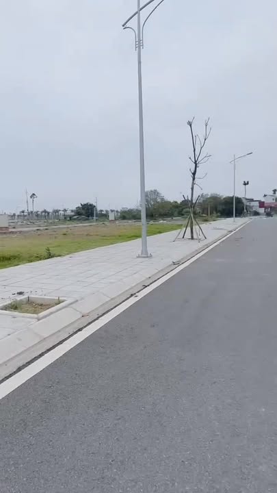 Căn Hộ Hoàng Ly 85m² Hướng Nam - Giá Tốt Đầu Tư