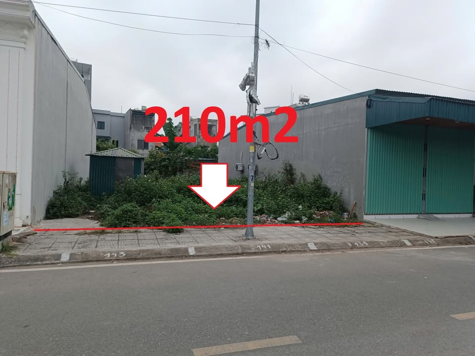 Đất nền Hải Hậu, Nam Định 210m² giá 1.45 tỷ - Tiềm năng tăng giá vượt trội!