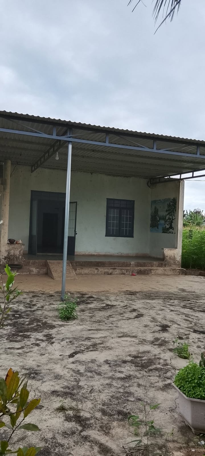 Bán Đất Nền Xã Nam Đà, Krông Nô - 650m² Thổ Cư, Sẵn Sổ