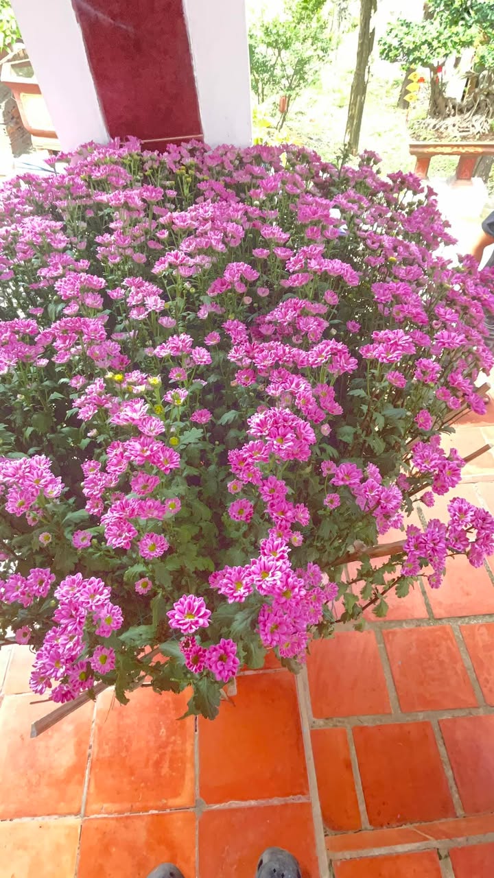 Đất nền Nâm Nung, Krông Nô 2520m² - Đường ô tô vào tận rẫy!