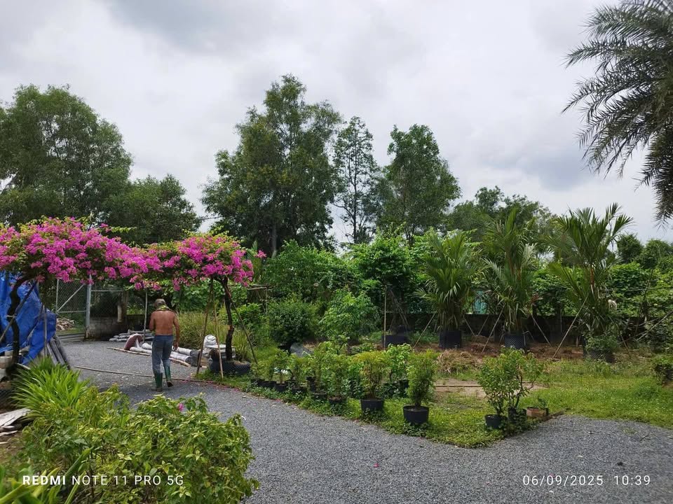 Đất vườn Tam Đa Thủ Đức 3000m² - Sinh thái xanh, lý tưởng làm vườn!