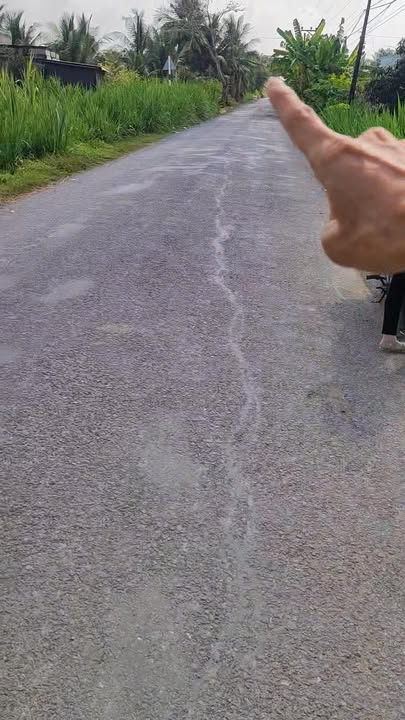 Đất nền Vĩnh Hựu 205m² giá 680 triệu - Giá đầu tư tốt!