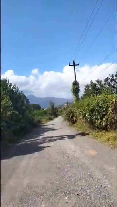 Đất trồng Hòa Ninh Hiệp Đức 800m² 1 tỷ - Đầu tư dài hạn