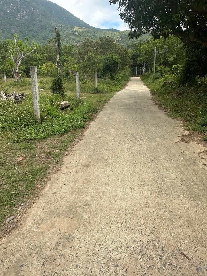 Đất Cam Phước Đông - 2.201m² Cam Ranh - Đầu tư