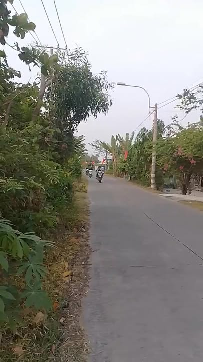 Nhà vườn Tân Tập Long An 2PN 2.5 triệu - Sẵn sàng ở ngay