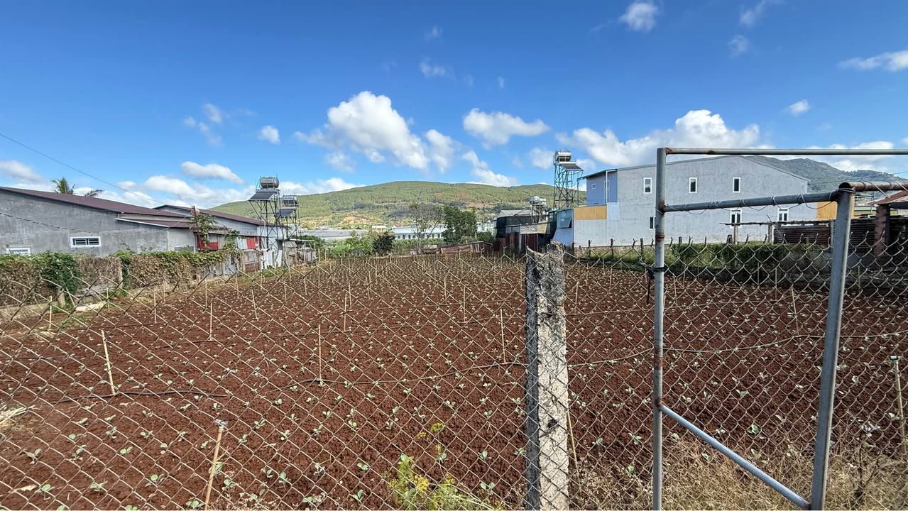 Đất nền Hiệp Thạnh Đức Trọng 584m² 2.8 tỷ - Thổ cư 100%