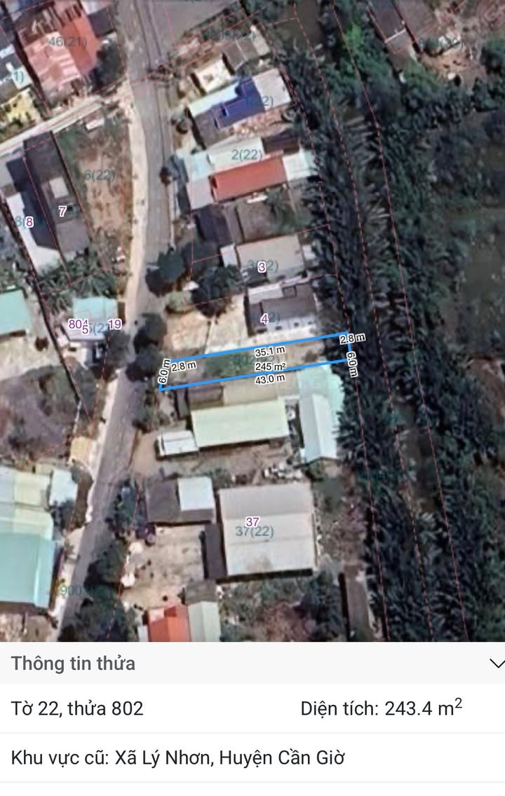 Đất nền Lý Nhơn Cần Giờ 243m² 4,3 tỷ - Sổ đỏ chính chủ