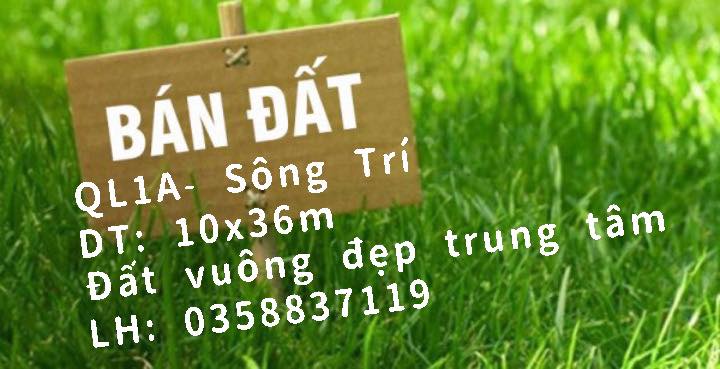 Đất Quốc lộ 1A Hưng Trí 389m² - Đường lớn ô tô