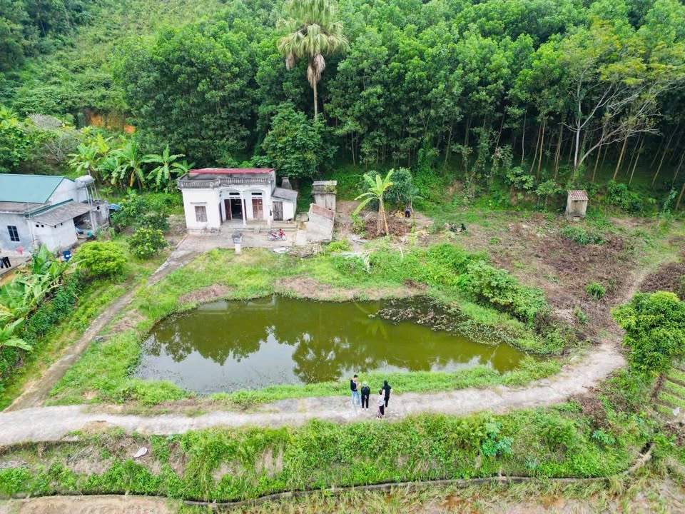 Đất nền Địch Quả Thanh Sơn 1.085m² 1 tỷ - Xây dựng tự do