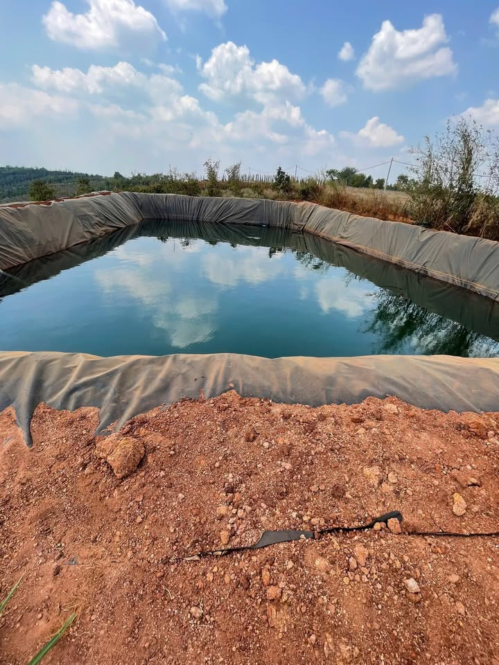 Đất vườn Đắk N'Dung 30.000m² 3,6 tỷ - Đường to ô tô