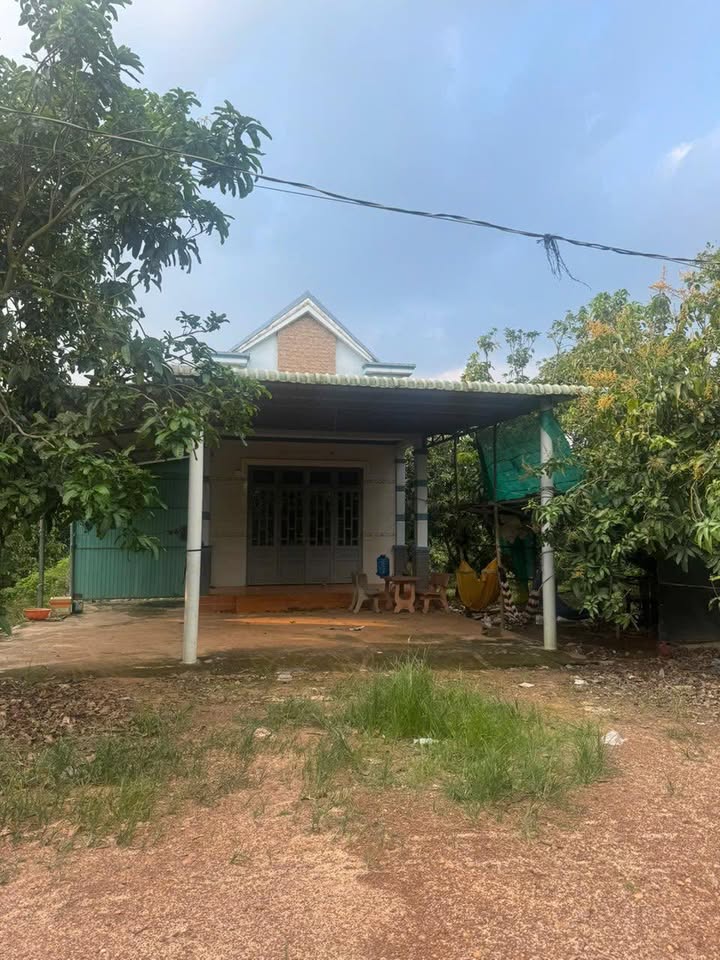 Đất Xuân Hưng 6.480m² giá 3.6 tỷ - Hạ tầng hoàn thiện