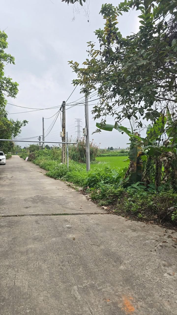 Đất nền Gia Trung Gia Viễn 150m² 1 tỷ - Đất thổ cư 100%