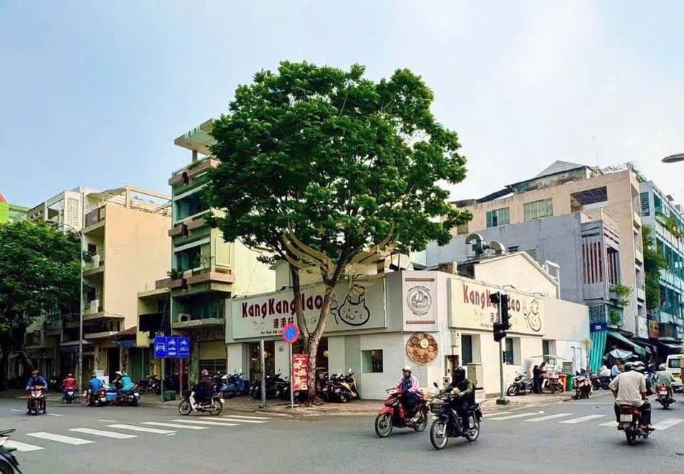 Nhà phố Nguyễn Trãi Q5 250m² - Mặt tiền kinh doanh