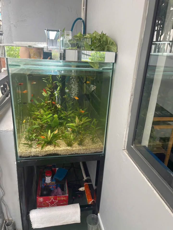 Nhà riêng Nguyễn Kiệm 138m² giá 17 tỷ - Ô tô vào tận nhà