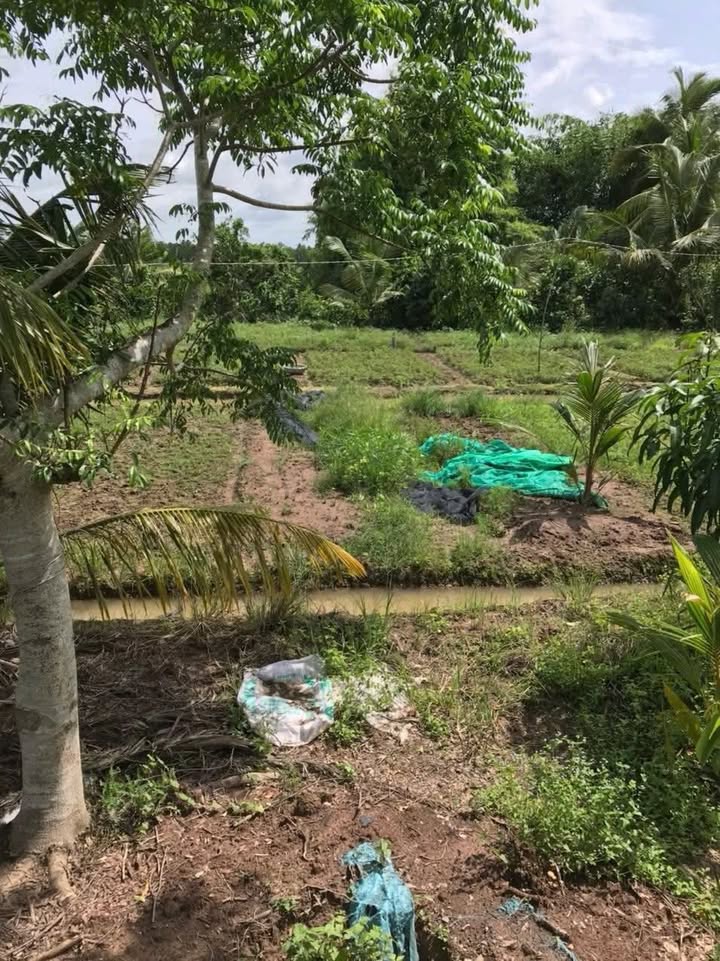 Đất nền Bình Minh 125m² 240tr - Sổ đỏ chính chủ