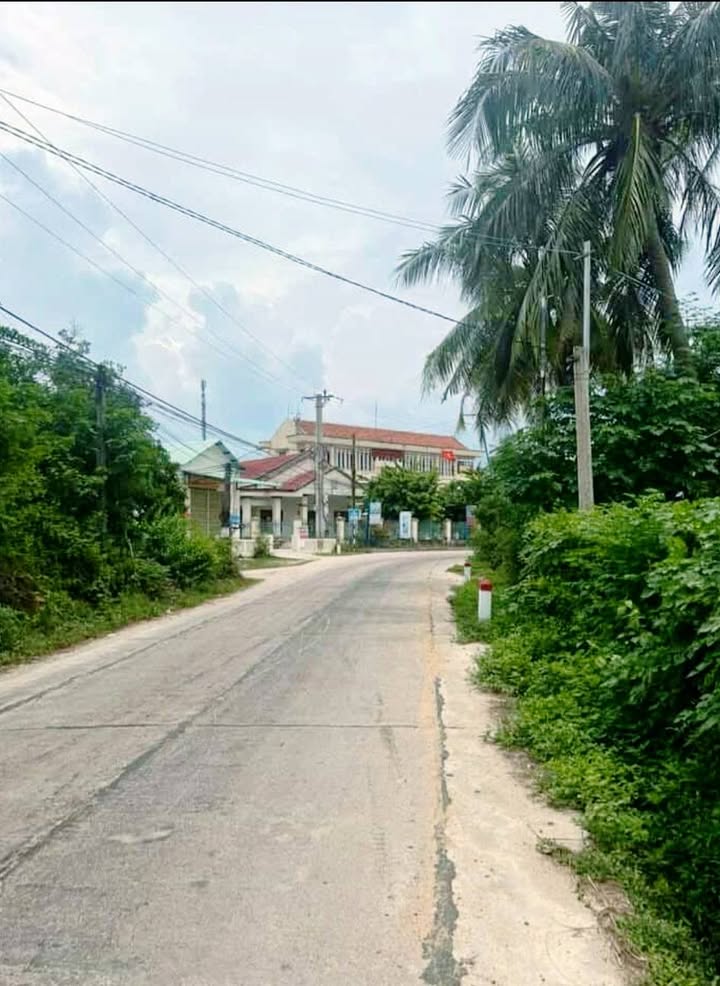 Đất nền Mỹ Tài Phù Mỹ 167m² giá 3xx triệu - Sổ đỏ chính chủ