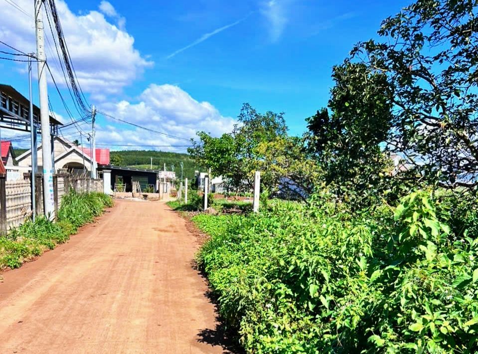 Đất nền Tân Hội, Đức Trọng 304m² 1.3 tỷ - Sổ đỏ chính chủ