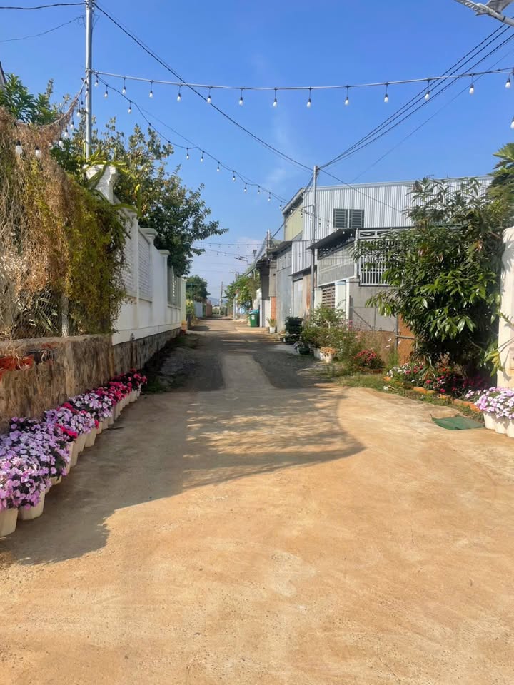 Đất nền Đức Trọng 369m² giá 4.3 tỷ - Đường to ô tô