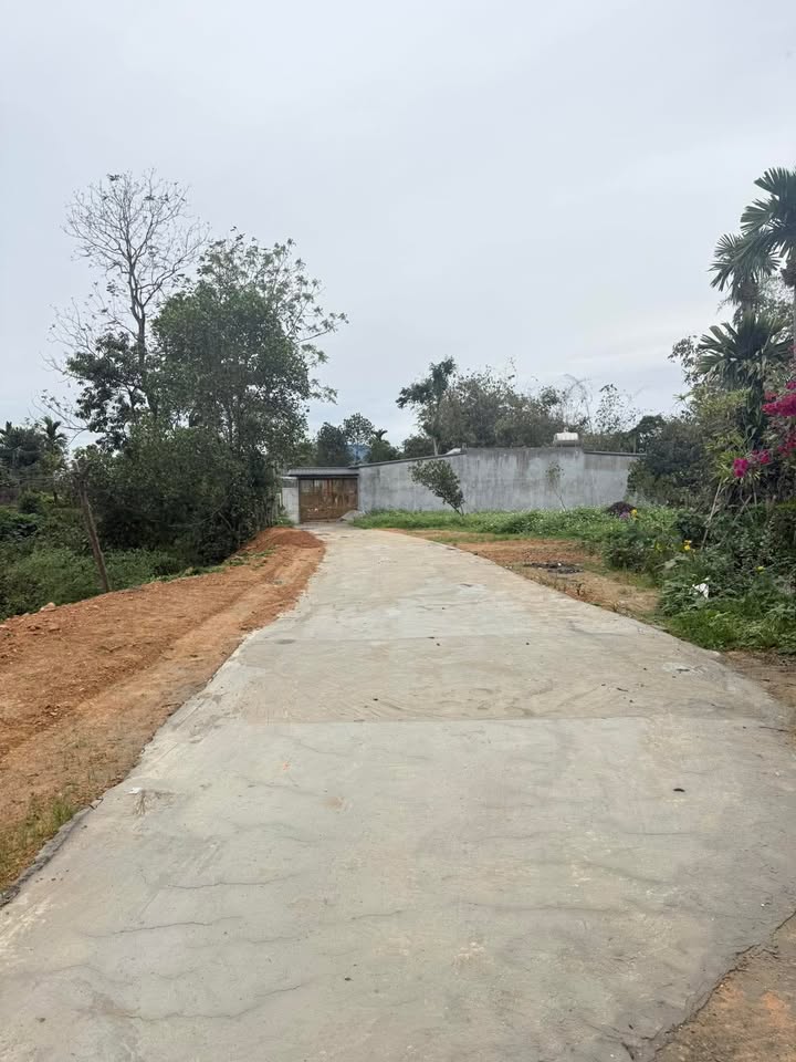 Đất Tràng Đà 100m² thỏa thuận - Sổ đỏ chính chủ bán gấp