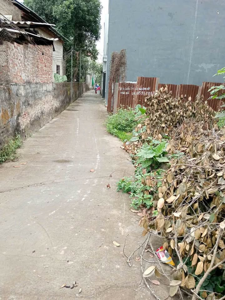 Đất Thôn Bãi Thanh Oai 83m² 2.49-3.237 tỷ - Sổ đỏ chính chủ